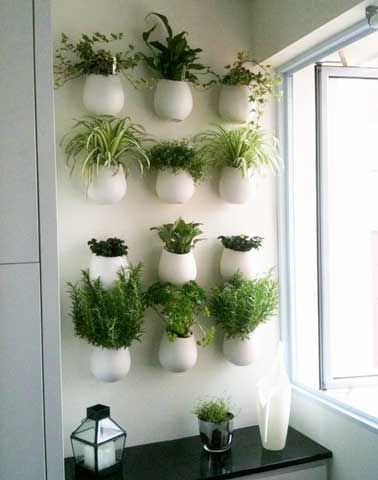 Composition de pots muraux blancs pour jardin vertical
