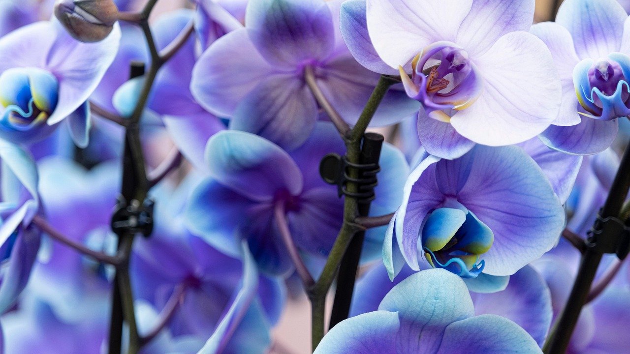 Que planter en mars au jardin : guide complet